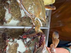-大连湾旭日·家宴·海肠捞饭(马栏广场店)