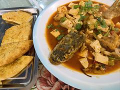 -煲来饱去冷水鱼