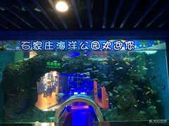 -石家庄海洋公园