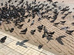 -谢尔盖圣三一大修道院