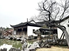 -芥子园