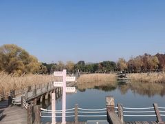 -苏州太湖湖滨国家湿地公园