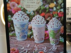 -CoCo都可(骆家庄新店)