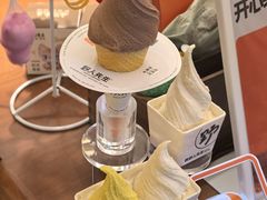 -野人先生Gelato(上海长宁龙之梦店)