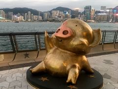 -星光大道
