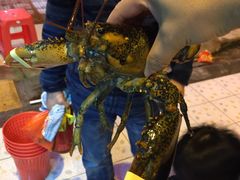-南海渔家•海鲜•正宗海南菜(海棠湾店)