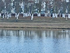 -春花秋色城市公园