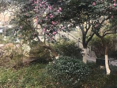 -墅园