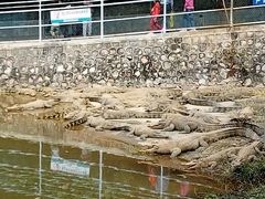 -广东茂名森林公园