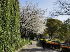 -昆山城市公园