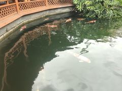 -香麒园·过桥米线·南湖雅宴