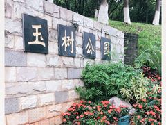 -玉树公园