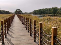 -白渔泡湿地公园