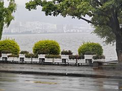 -野菌皇海景野生菌火锅(滨海大道店)