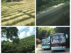 -宁波浙东大竹海景区