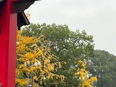-四川大学(望江校区)