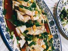 清蒸白水鱼-南花桥羊肉馆