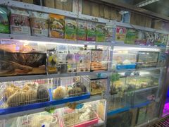 -花鸟鱼虫鲜花绿植市场(玉泉路店)