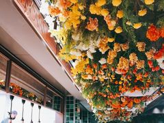 -BELLA CASA
