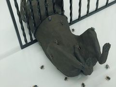 -胶囊画廊