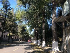 -清华大学-观畴园餐厅