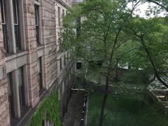 -美国自然历史博物馆