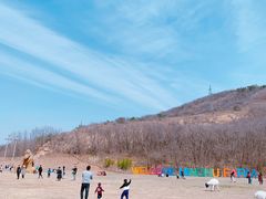 -大连铭湖国际观光牧场