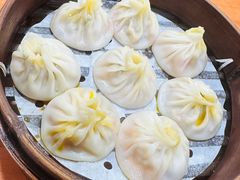 -莱莱小笼·乔艾