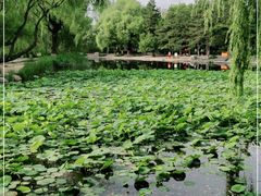 -满都海公园