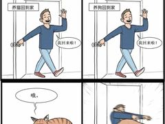-瑞派天使宠物医院·神经外科·骨科·核磁(洛川中路店)