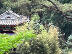 -红螺寺