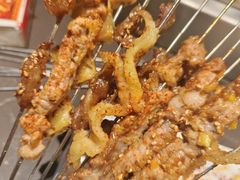 -邢氏老太太烤串(北兴街店)