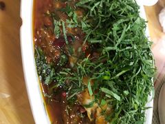 特色藿香鱼-老字号怡玺·藿香雅鱼(20年雅安店)