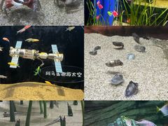 -欢乐海岸海洋奇梦馆