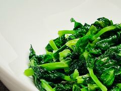 清炒豆苗-荣府宴(南阳路店)