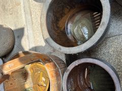 -旺山·浪头人家