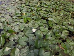 -幕燕滨江·长江观音景区