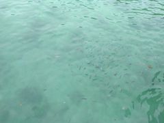 -东姑阿都拉曼海洋公园