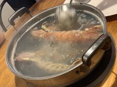 濑尿虾-凯华海鲜火锅·传承三十六年