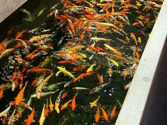 -龙悦湾酒家·八阵鱼生·渔人码头店