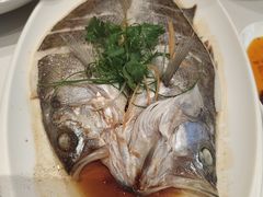 -冷大厨灌汤包