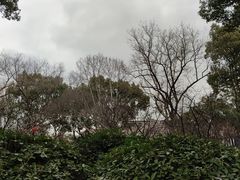 -上海醉白池公园