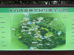 -宜兴龙背山森林公园
