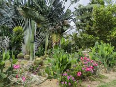 -亚龙湾国际玫瑰谷