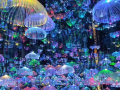 -天津梵高星空艺术馆(天河城旗舰店)