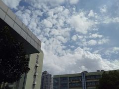 -上海市曹杨职业技术学校