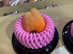 -油麻地果栏
