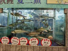 -新兴家喻酒家·羊城名宴(昌岗店)