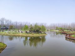 -合肥滨湖国家森林公园