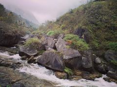 -鹿院坪生态旅游景区